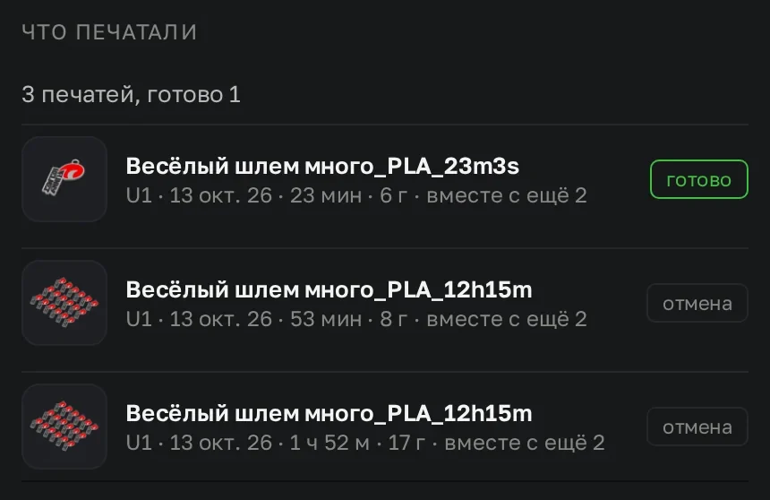 Блок Что печатали в карточке катушки Silk Серебро: три печати Весёлого шлема с миниатюрами, датой, временем, граммами и статусом